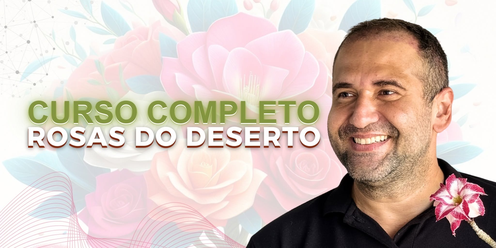 Rosas de Coleção